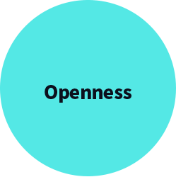Openness
